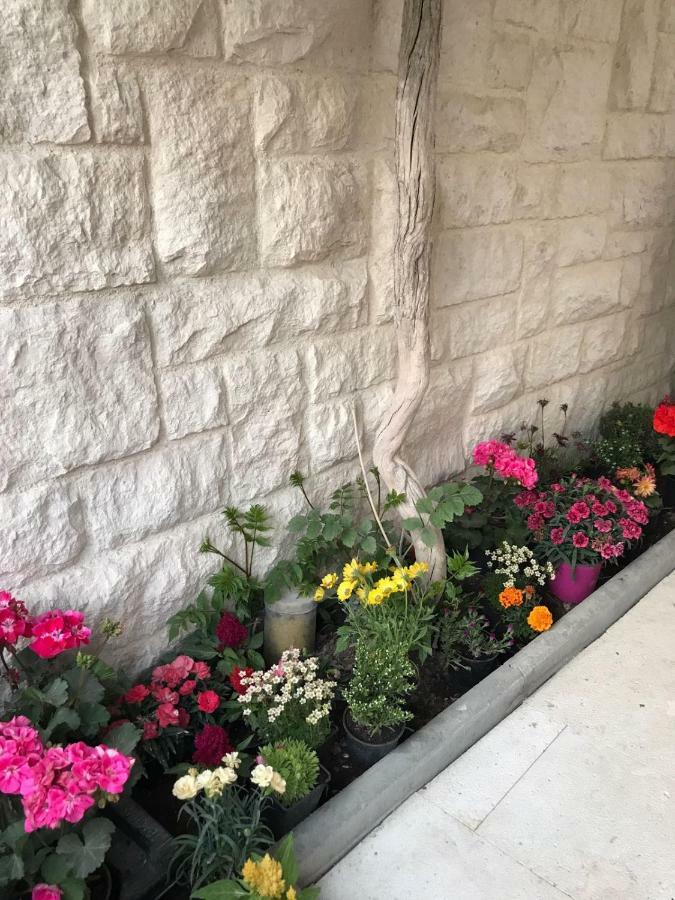 Apartman Crnica Szybenik Zewnętrze zdjęcie
